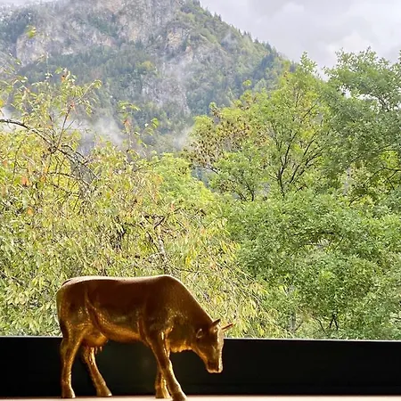 Chalet Nature Et Design Chalet